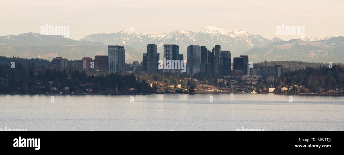 Eine lange Panorama-Aufnahme des urbanen Dschungel, das Bellevue Washington Stockfoto
