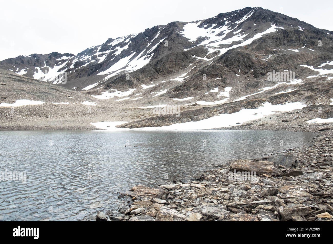 Nach einer steilen, eher anspruchsvollen Wanderung bergauf zum Cerro del Medio, ausgehend vom Zentrum von Ushuaia, finden Sie einen kleinen, natürlichen Teich. Stockfoto