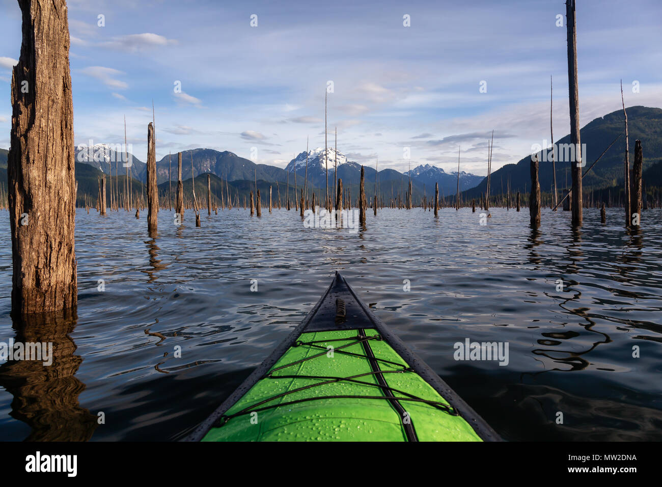 Kajak während eines schönen Morgens durch die Kanadische Berglandschaft. In Daube, See, östlich von Vancouver, British Columbia, Kanada. Stockfoto