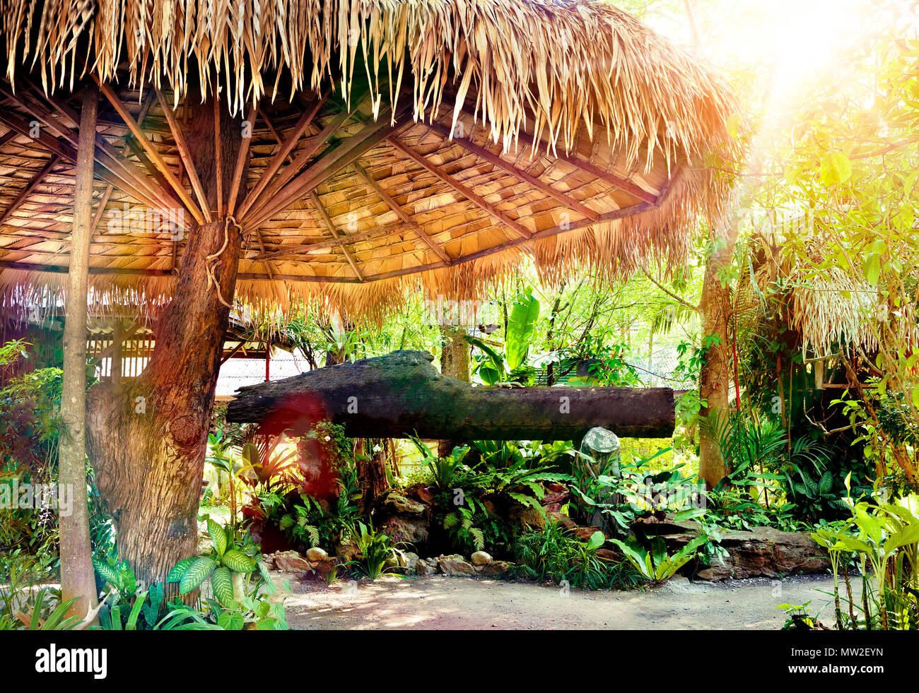 Eintritt in den Dschungel und Sonnenlicht. Reisen und Abenteuer rund um die Welt. Exotische reisen Hintergrund. Palmen und Vegetation. Schild am Eingang Stockfoto