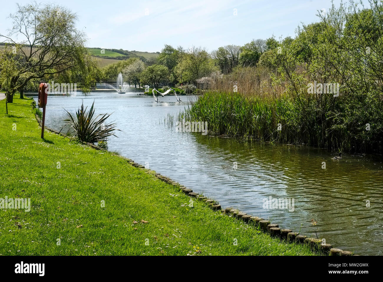 Trenance See zum Bootfahren in Trenance Park in Newquay in Cornwall. Stockfoto