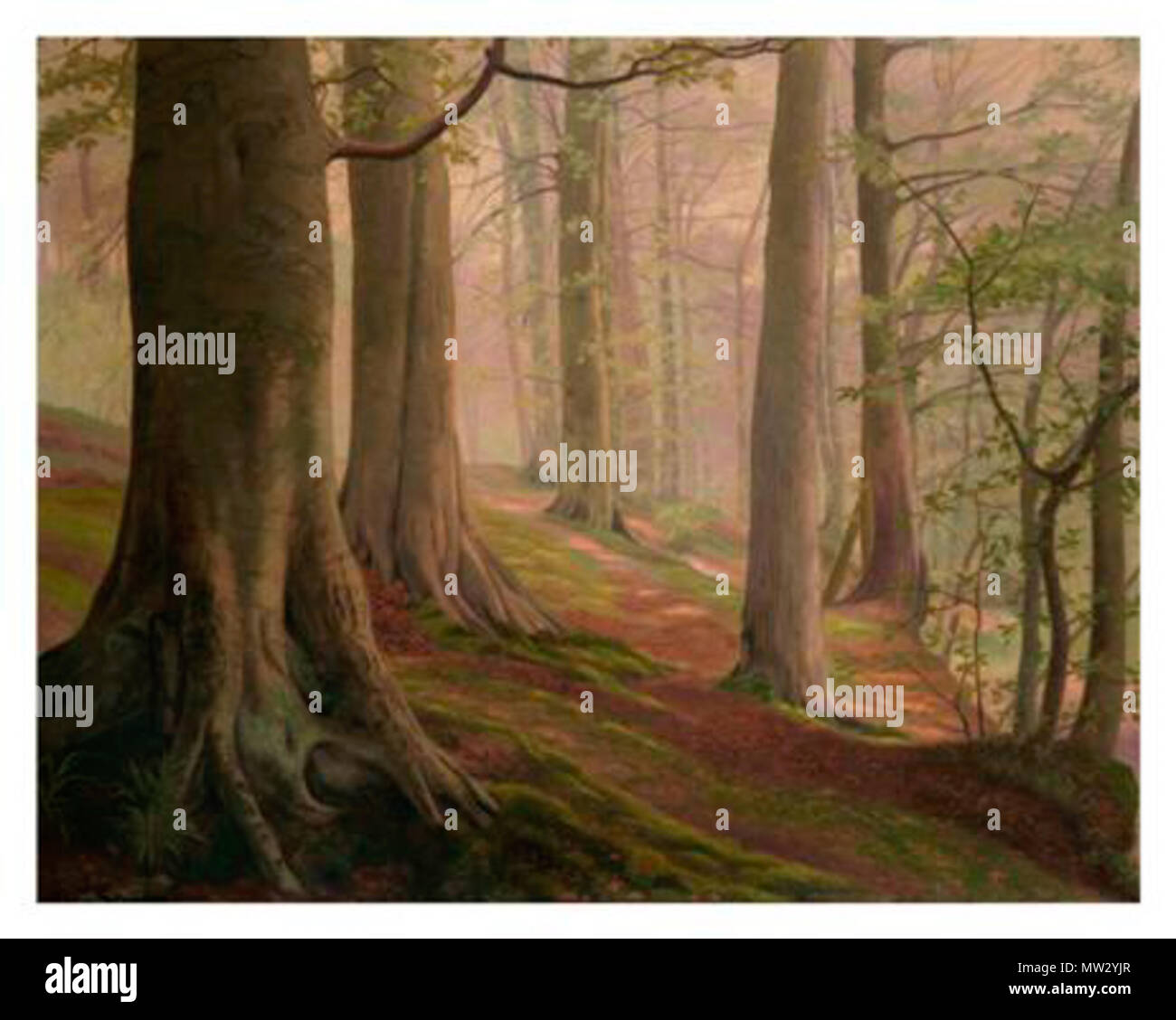 517 René Stevens-Premières feuilles Stockfoto