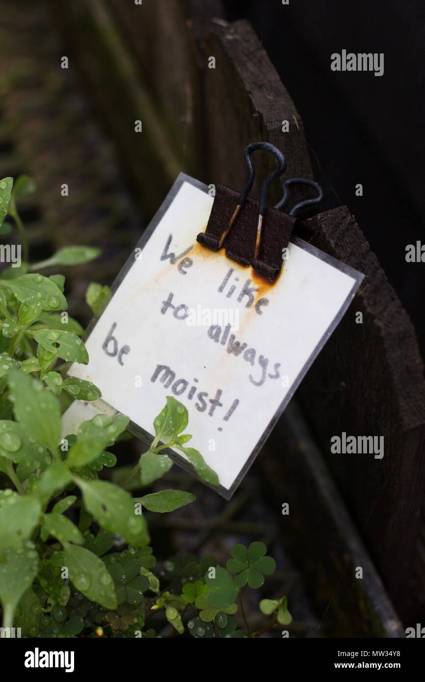 Eine lustige Zeichen über das Mögen feucht zu werden, auf einer Anlage. Stockfoto