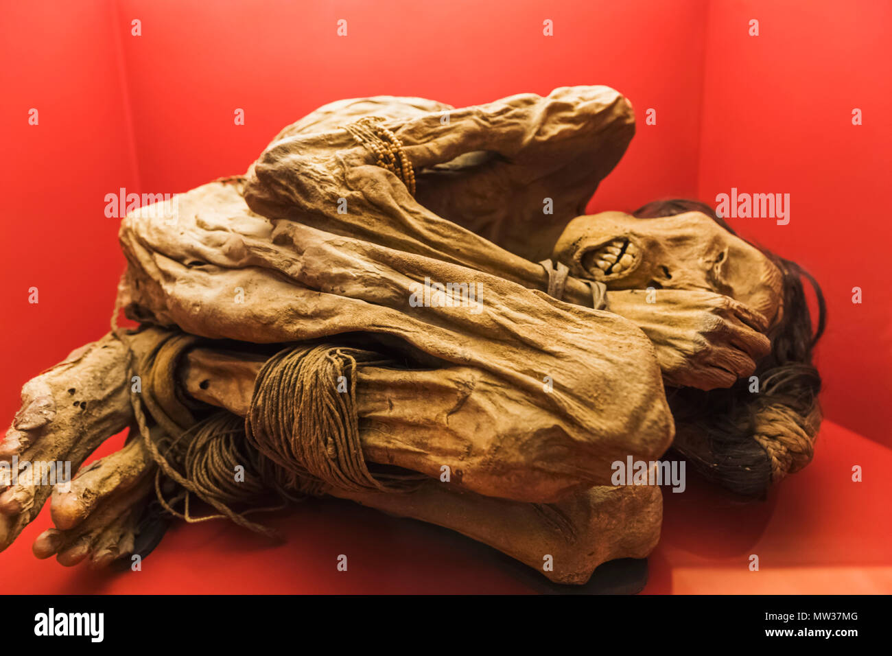 England, London, der Wellcome Collection, mumifizierte Körper von chimu Mann Peru (1200-1400) Stockfoto