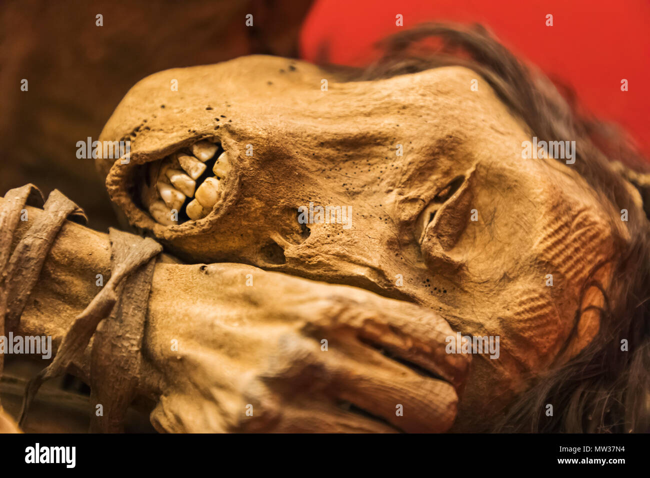 England, London, der Wellcome Collection, mumifizierte Körper von chimu Mann Peru (1200-1400) Stockfoto