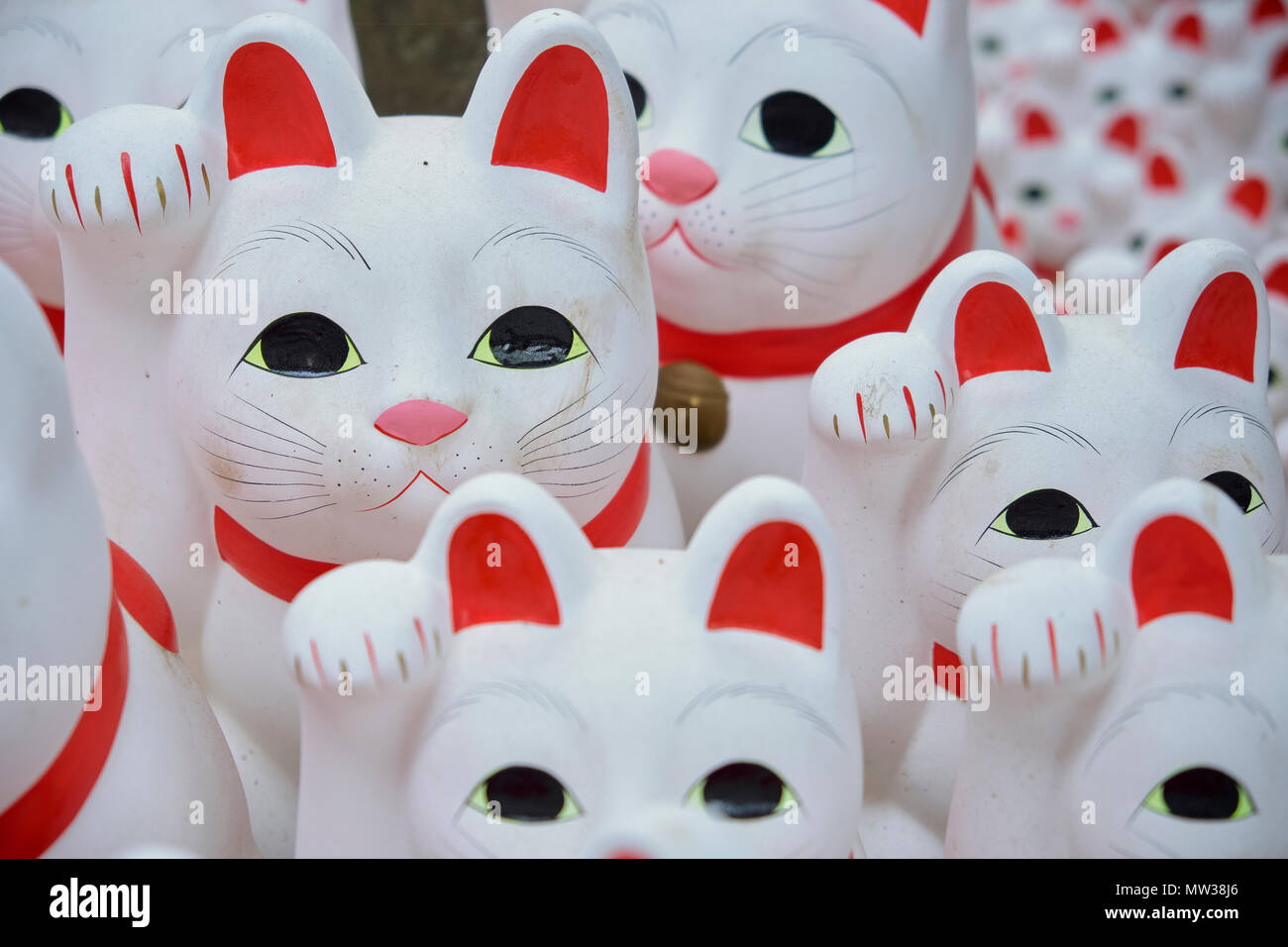 Maneki Neko - glückliche Katzen bei Goutokuji Schrein, Tokio, Japan Stockfoto