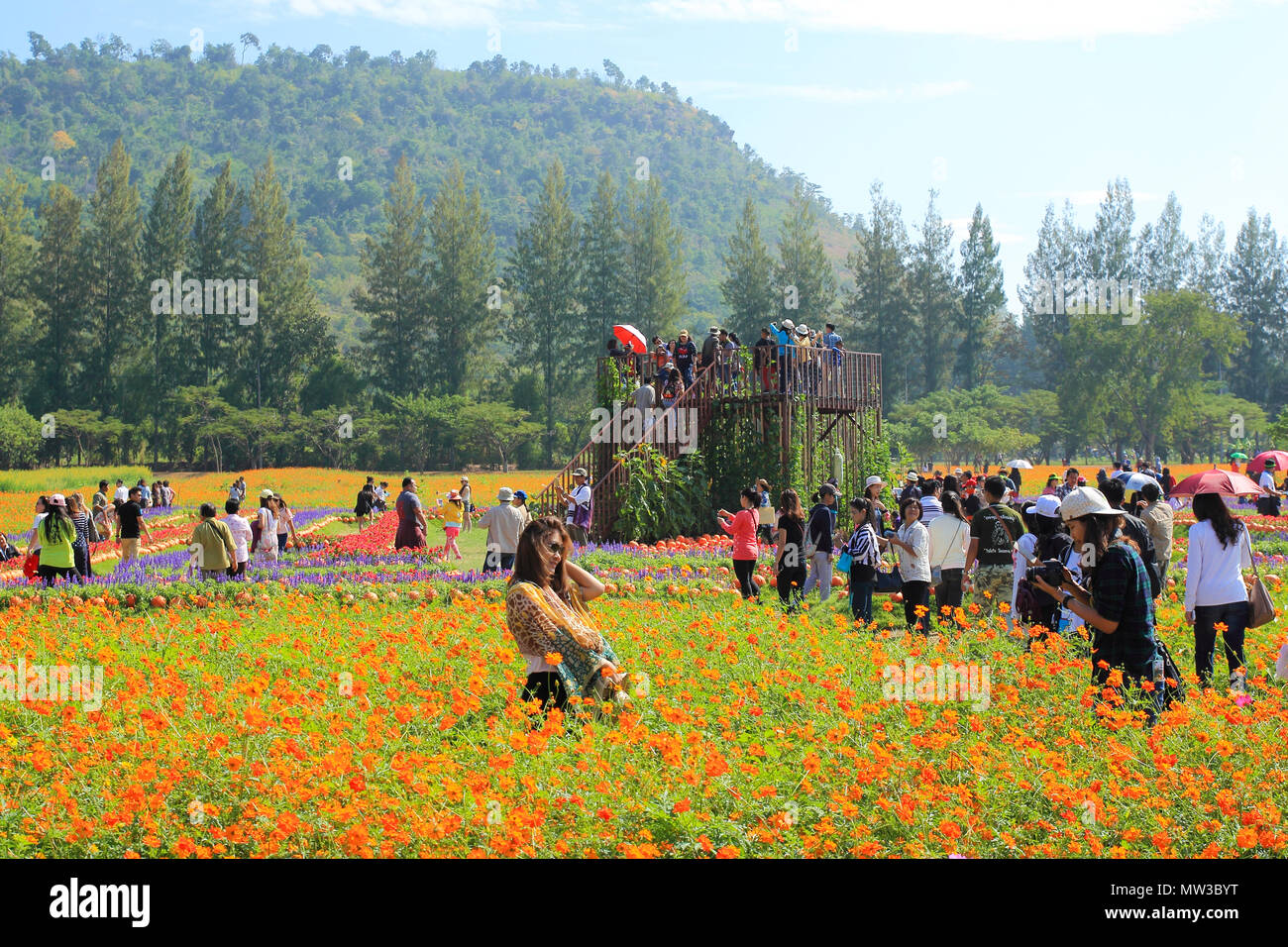 NAKHONRATCHASIMA THAILAND - Dezember 14: Menschen reisen in Jim Thompson Farm am 14. Dezember in NAKHONRATCHASIMA, THAILAND 2014. Das Haus der Welt Stockfoto