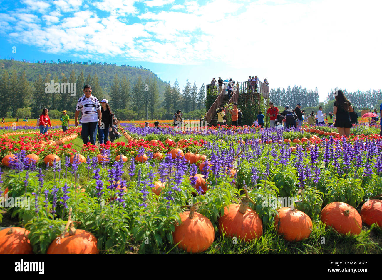 NAKHONRATCHASIMA THAILAND - Dezember 14: Menschen reisen in Jim Thompson Farm am 14. Dezember in NAKHONRATCHASIMA, THAILAND 2014. Das Haus der Welt Stockfoto