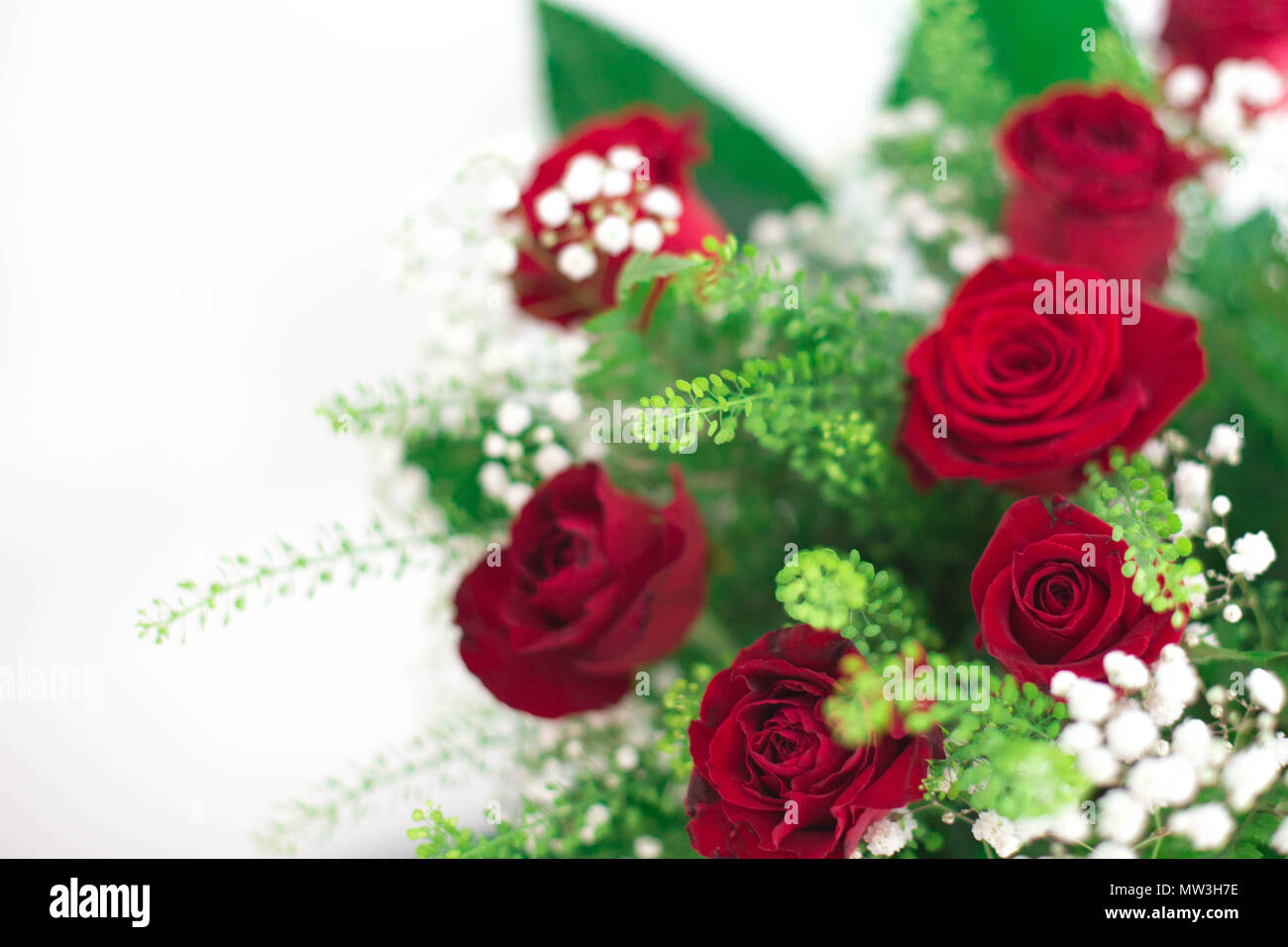 Wunderschöne Rosen Blumenstrauß auf weißem Hintergrund Danke und Postkarte Design Zimmer für Text frische Konzept Liebe Stockfoto
