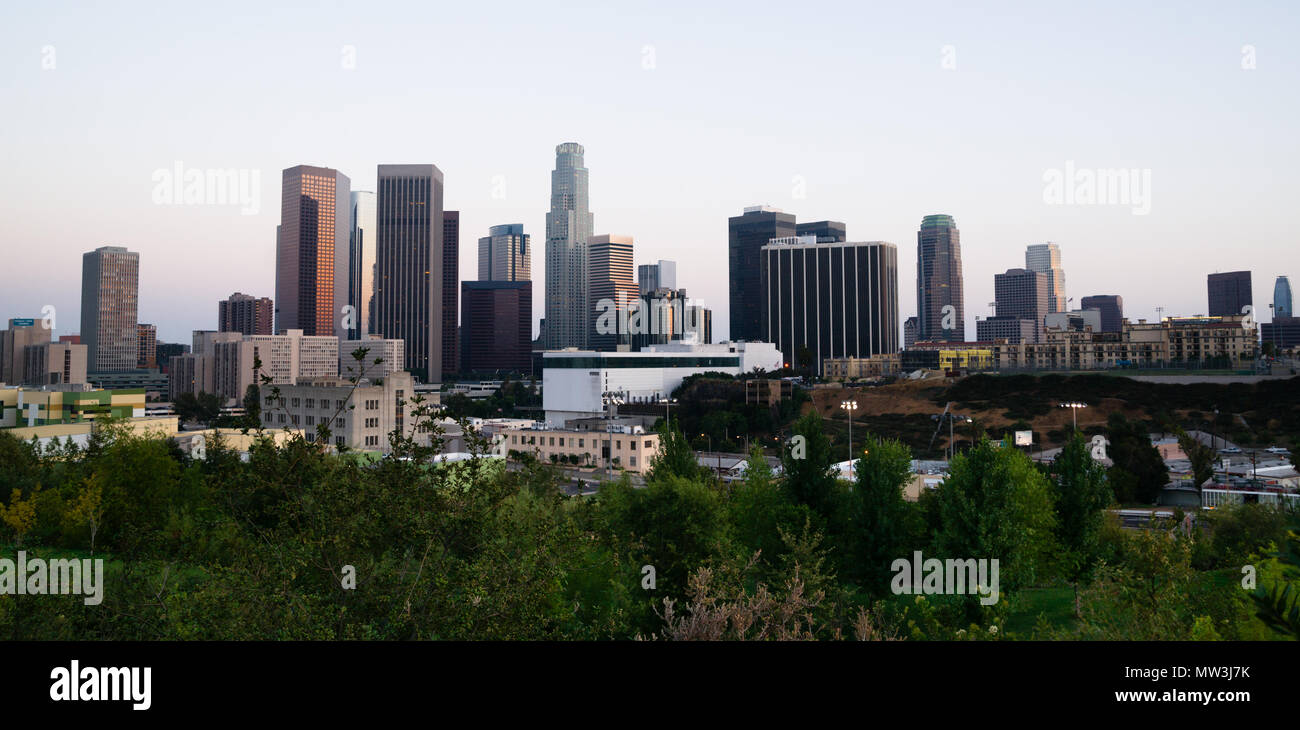 Grüne Bäume dominieren den Vordergrund mit dem Skyline von Los Angeles im Hintergrund Stockfoto