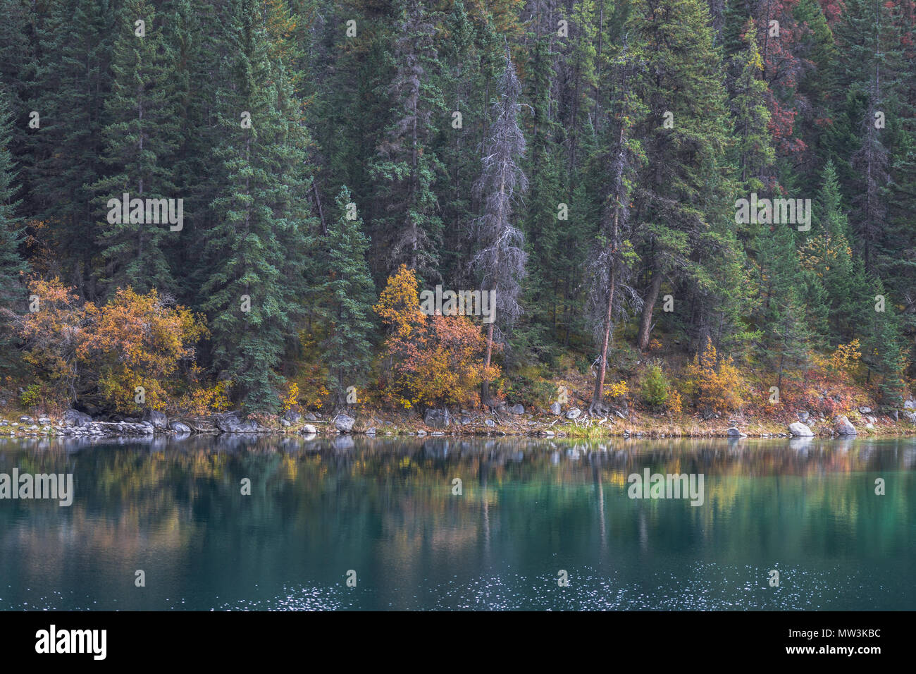 Tal der fünf Seen in Jasper National Park, Kanada Stockfoto