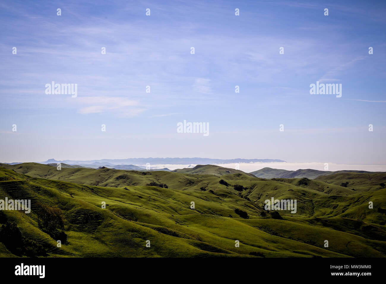 Fernsicht von Morro Bay durch Nebel Stockfoto