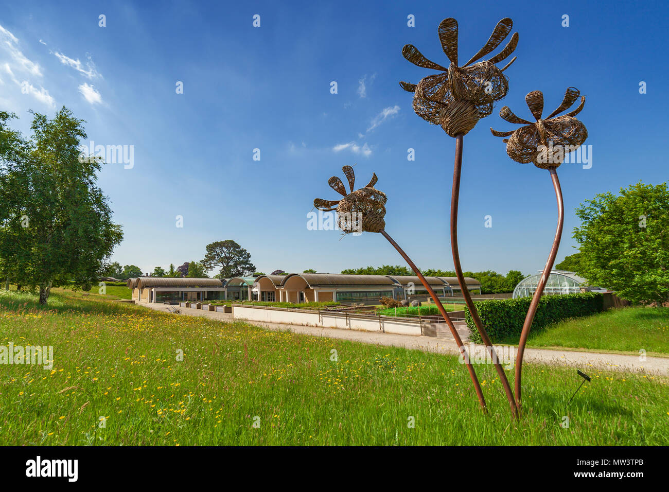Das Millennium Seed Bank und Poppy Skulptur an Wakehurst. Stockfoto
