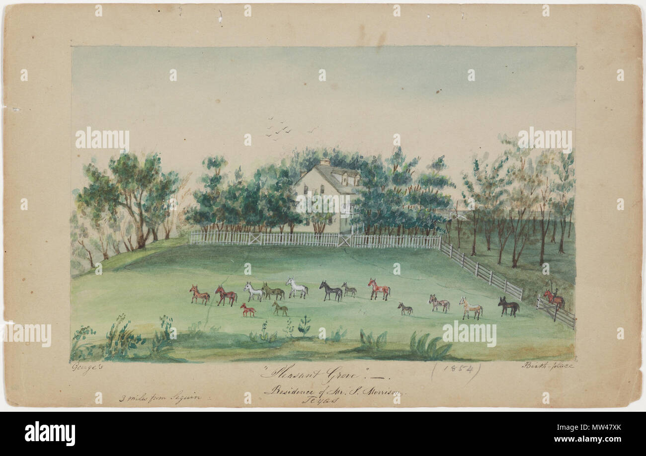 . Englisch: Sarah Ann Lillie Hardinge (1824-1913) "Pleasant Grove." Aufenthalt von Herrn J. Morrison. Texas 1853-1854 Transparente und opake Aquarell über Graphit auf Papier Amon Carter Museum der amerikanischen kunst Archive, Fort Worth, Texas, Geschenk von Natalie K. Shastid 1984.3.9. zwischen 1853 und 1854. Sarah Ann Lillie Hardinge 266 Hardinge, Pleasant Grove 1853, Aquarell Stockfoto