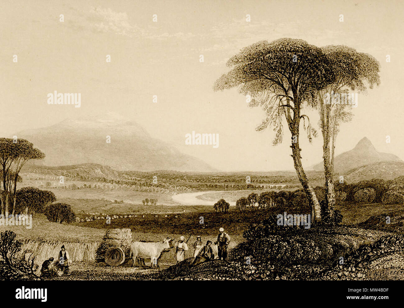. Englisch: Christopher Wordsworth. Griechenland Bildliche, beschreibende & Historische und eine Geschichte der Merkmale der griechischen Kunst, London, John Murray, 1882. 1882. Christopher Wordsworth (1807 - 1885) Beschreibung britischer Priester, Bischof von Lincoln Datum der Geburt / Tod 30. Oktober 1807 20. März 1885 Ort der Geburt London Authority control: Q 5113463 VIAF: 69707507 ISNI: 0000 0000 8150 0859 88175415 LCCN: n NLA: 35853349 GND: 117423564 WorldCat 427 Halterungen Olympus und Ossa, aus den Ebenen von Thessalien - Wordsworth Christopher - 1882 Stockfoto