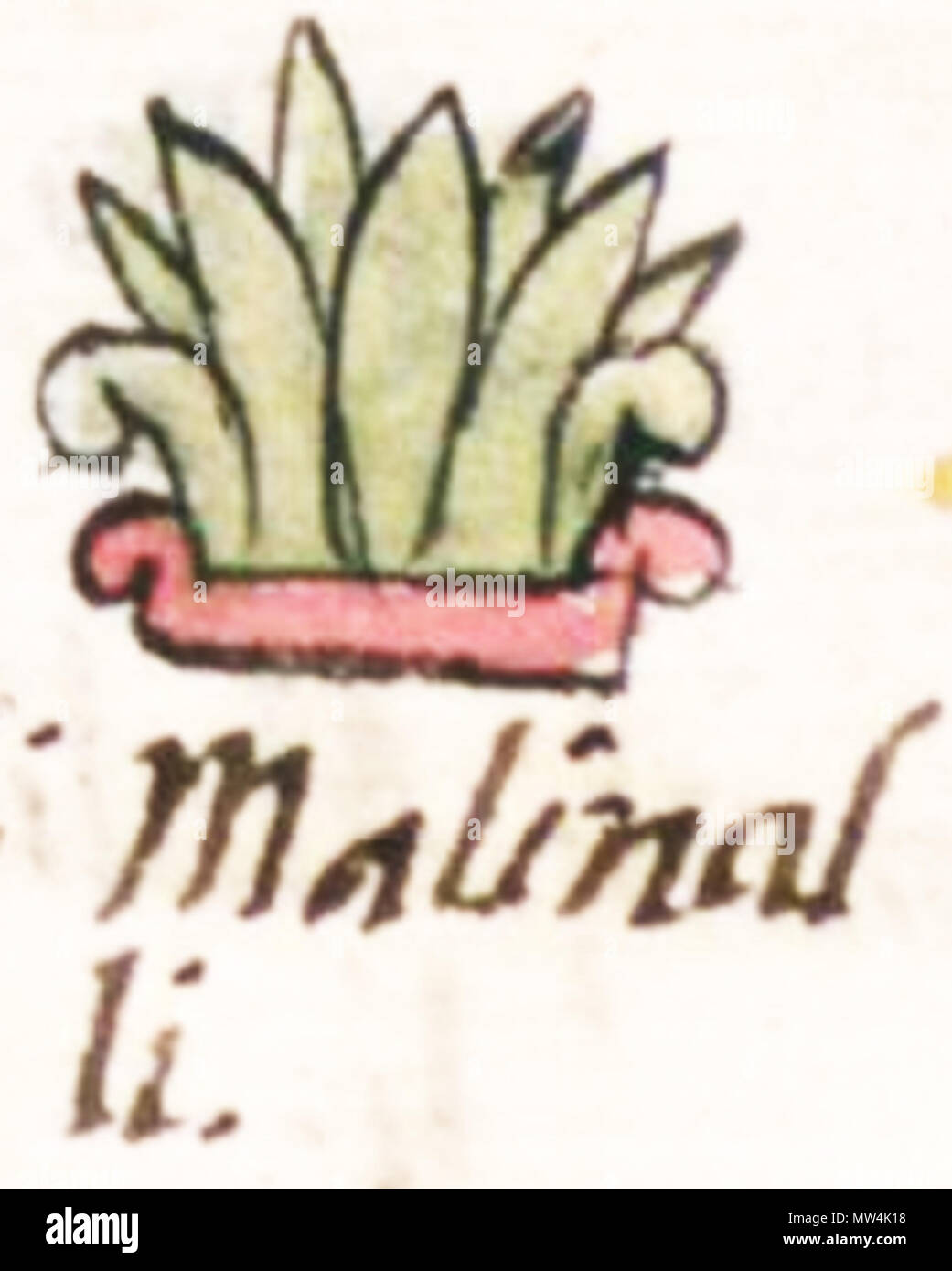 389 Malīnalli-glyphe 1. Stockfoto