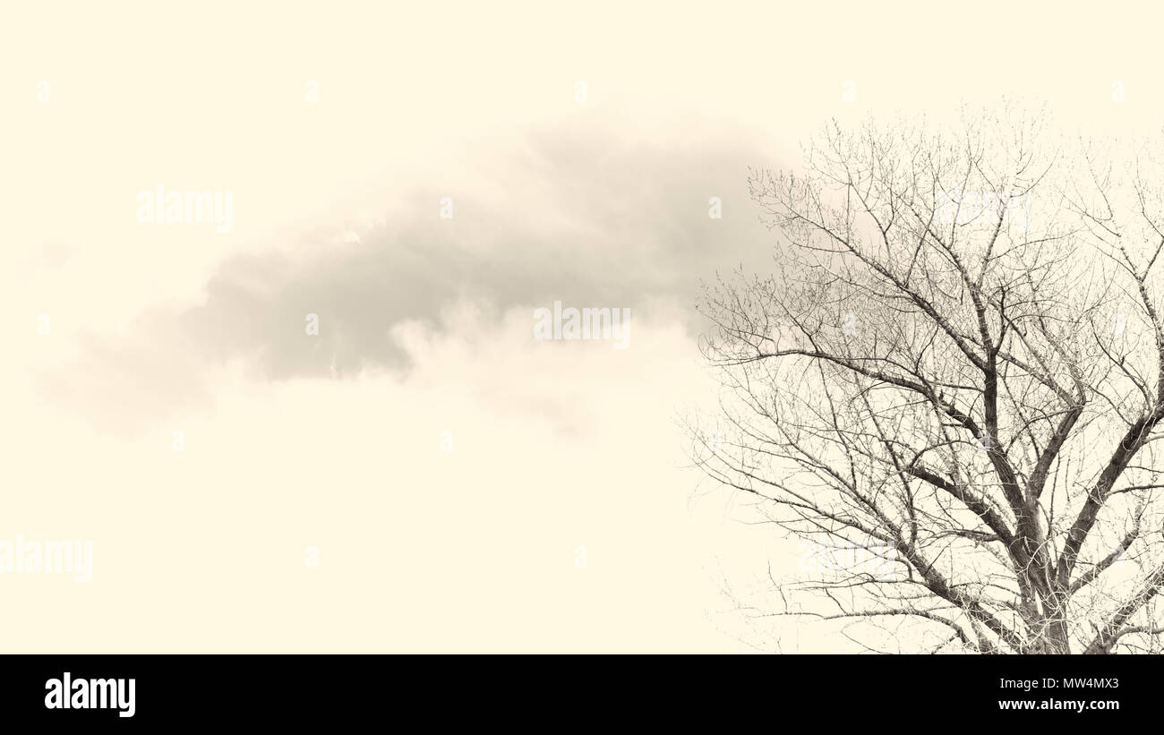 Zweige mit Sky auf der sepia Ton Stockfoto