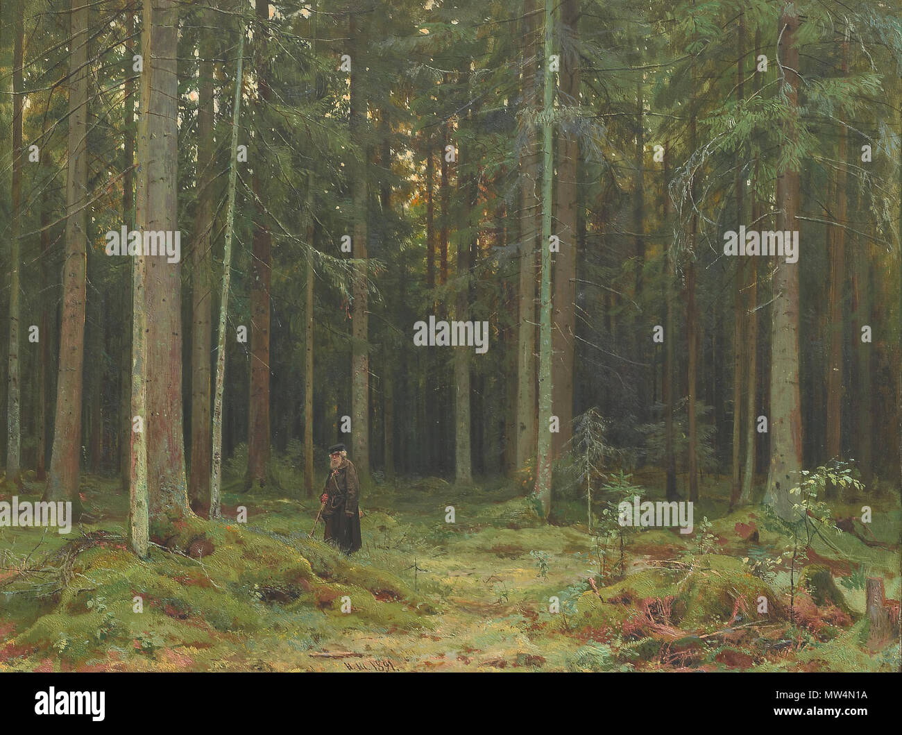 . В лесу графини Мордвиновой. Петергоф. Englisch: Im Wald von Gräfin Mordvinova. Petergof Polski: W lesie hrabiny Mordwinowej. Peterhof. 1891. Ivan Shishkin (1832-1898); von Wutsje 555 Shishkin Ivan den Wald von Gräfin Mordvinova 1891 hochgeladen Stockfoto