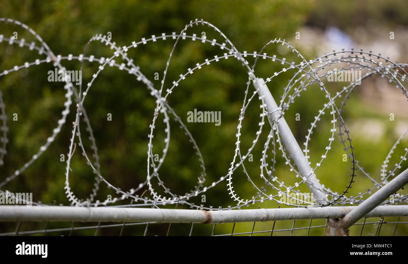 Barbed Wire Mesh metall Zaun, scharf mit Rasiermesser, Kreis. Warnung vor Gefahren und zum Schutz der Umgebung. Unscharfer Natur Hintergrund, die Ansicht zu schließen. Stockfoto