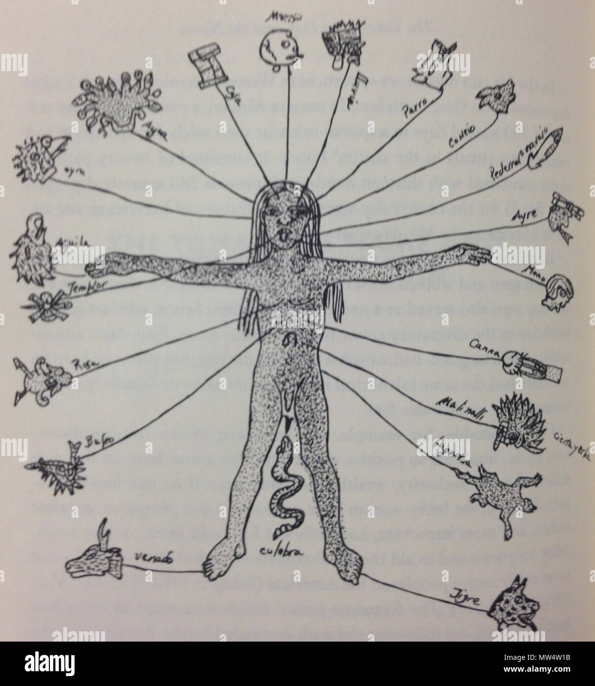 . Englisch: Abbildung mit 20 tag Zeichen der alten Mexica für Teile des Körpers an die Stelle der astrologischen Zeichen zu ihnen in Europa zugeordnet. 15 November 2014, 21:54:47. Furst, Jill Leslie McKeever 208 Abbildung mit 20 Tag Schilder Stockfoto
