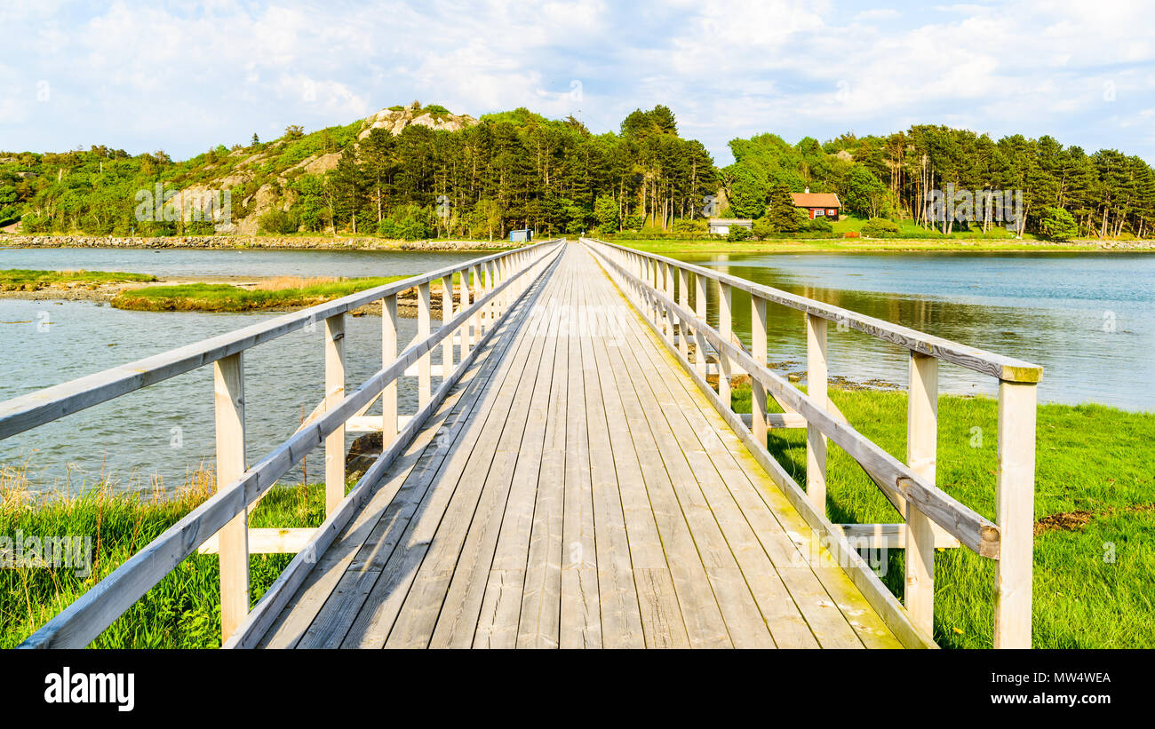 Langen hölzernen Fußgängerbrücke in Küstenlandschaft an einem sonnigen Abend. Stockfoto