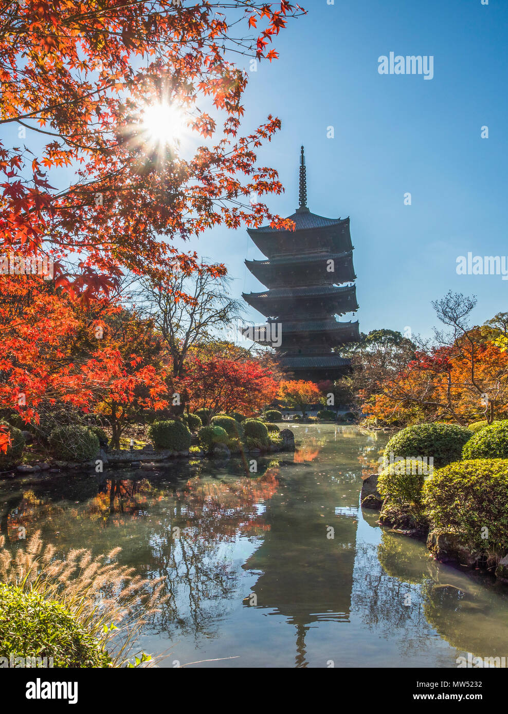 Japan, Kyoto City, To-Ji Tempel Stockfoto