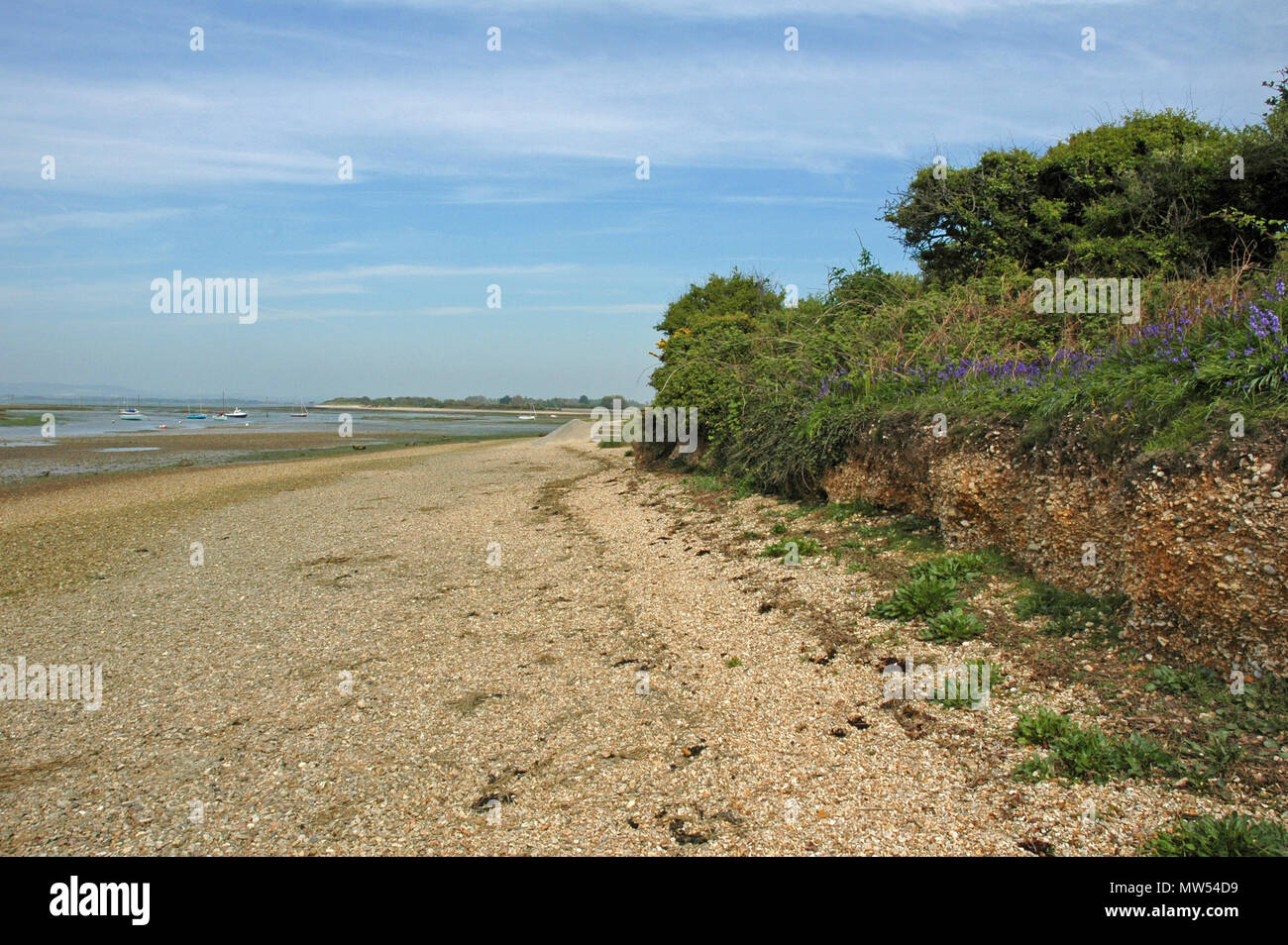 Tideline angezeigt Erosion bei West Wittering, West Sussex. Stockfoto