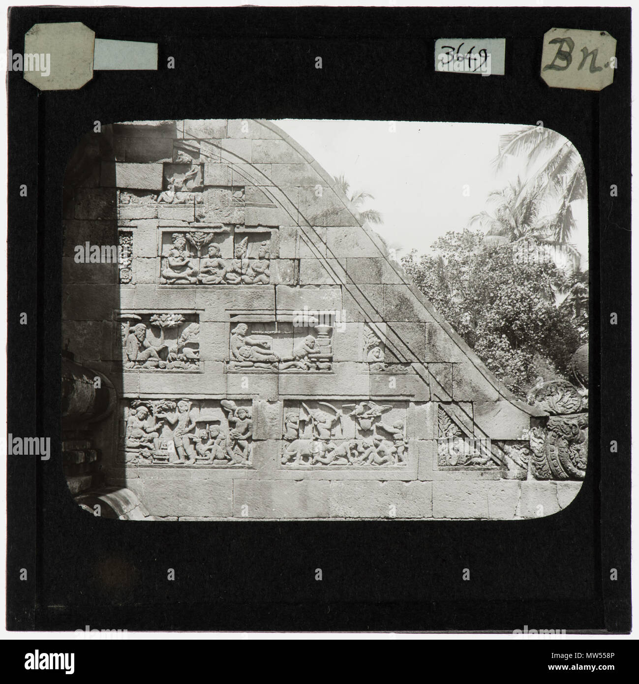 . 'Boro bodeir' (die ursprüngliche Bezeichnung für 'Borobudur'). Steinerne Wand mit Bäumen zu Recht. 1913 93 Borobudur Schnitzereien YORYM TA 3649 Stockfoto