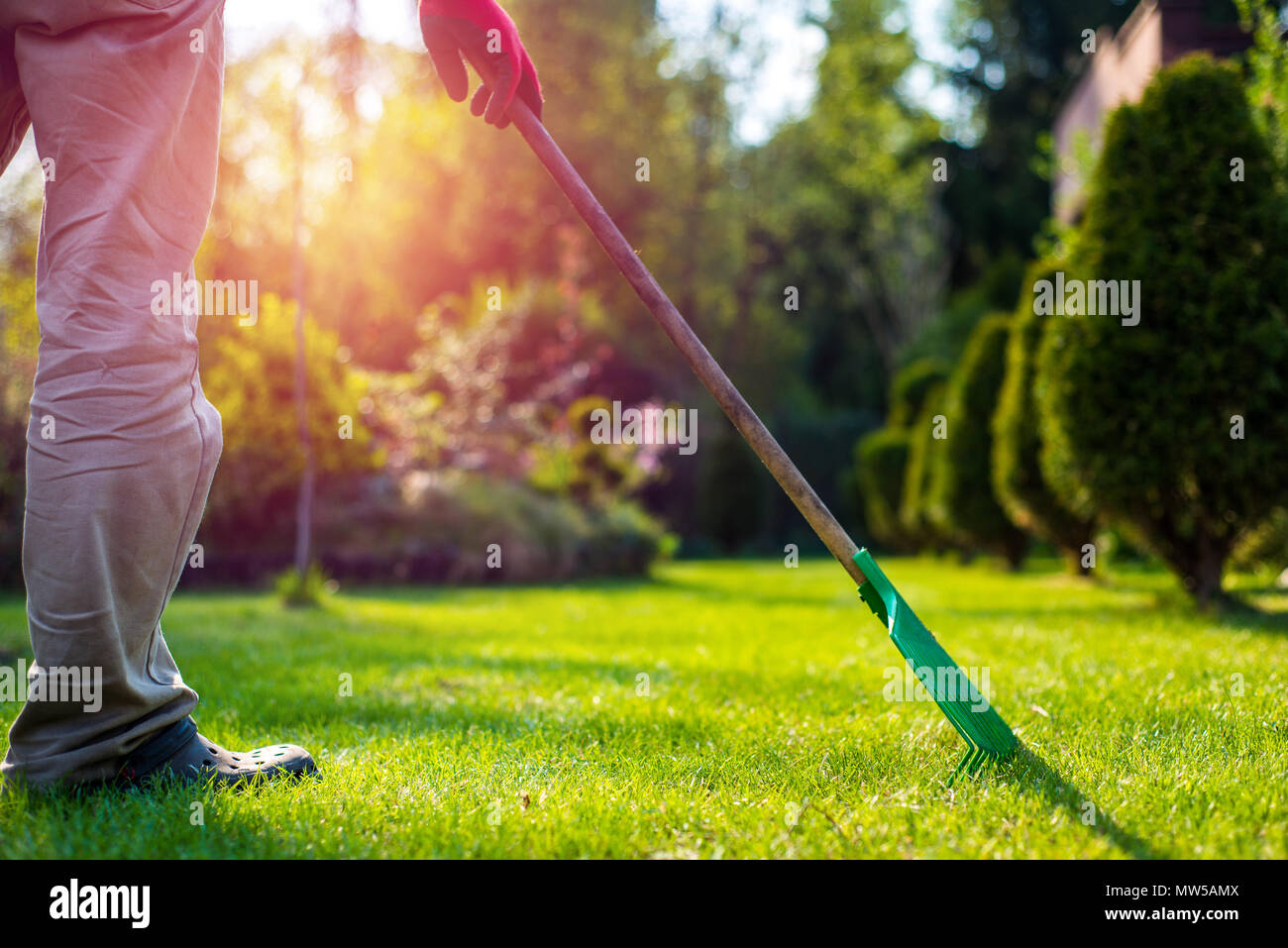 Der Mann packte die Grass gegen die untergehende Sonne im Garten. Arbeitet im Garten und Pflanzen Sämlinge. Ein Mann schneidet die Zweige der Sträucher Stockfoto