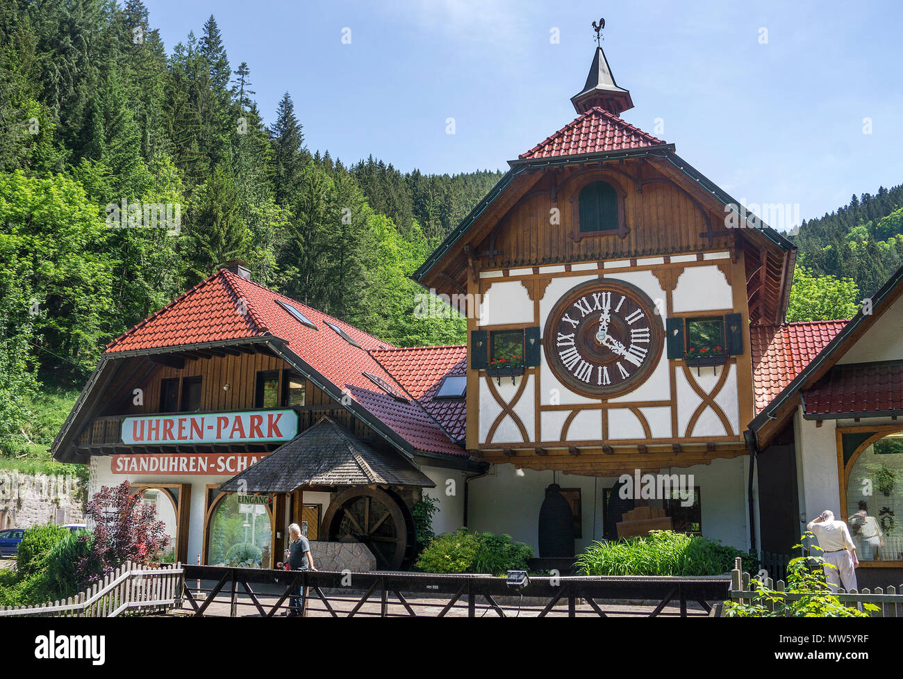 Cuckoo Clock Schwarzwald Uhr Tree O Clock Uhrwerk Eble Uhren Park