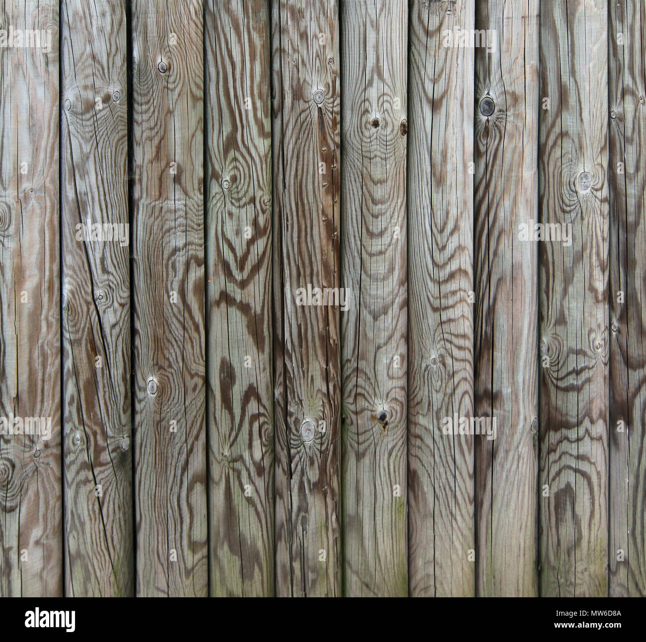 Palisade - Zaun aus Holzpfählen - Holz Textur Stockfoto