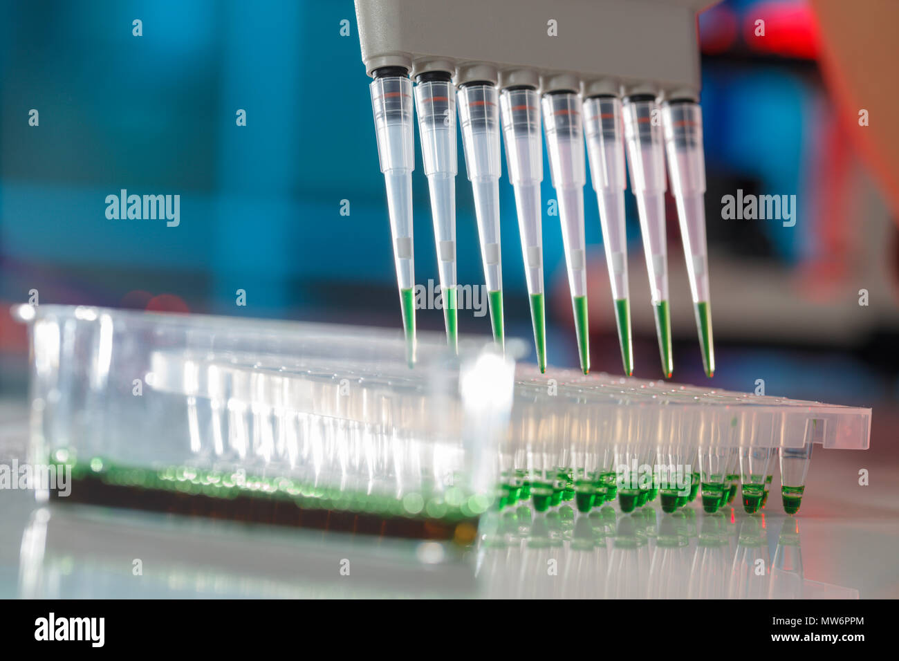 Elektrophorese gerät in einem Genetics Lab den genetischen Code zu entschlüsseln. Stockfoto