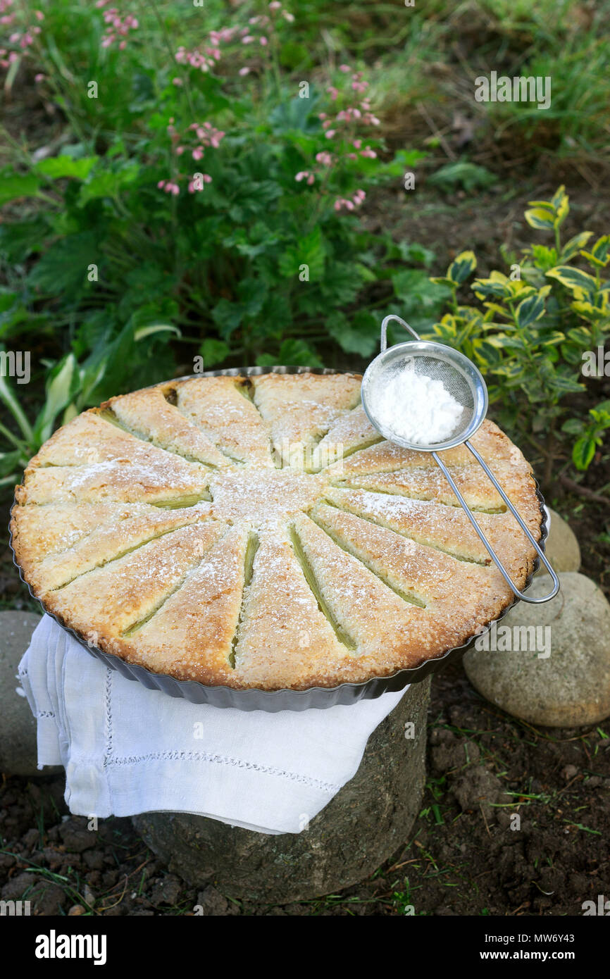 Eine große hausgemachte Kuchen mit Rhabarber Streifen in Zinn. Rustikaler Stil, selektiven Fokus. Stockfoto