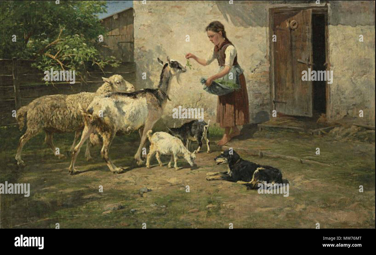 . Fütterung 52 Antonis Matteo Montemezzo Fütterung Stockfoto