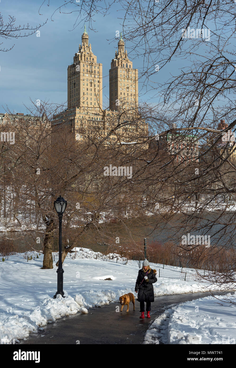 Frau geht Hund im Winter im Central Park, New York City, USA Stockfoto