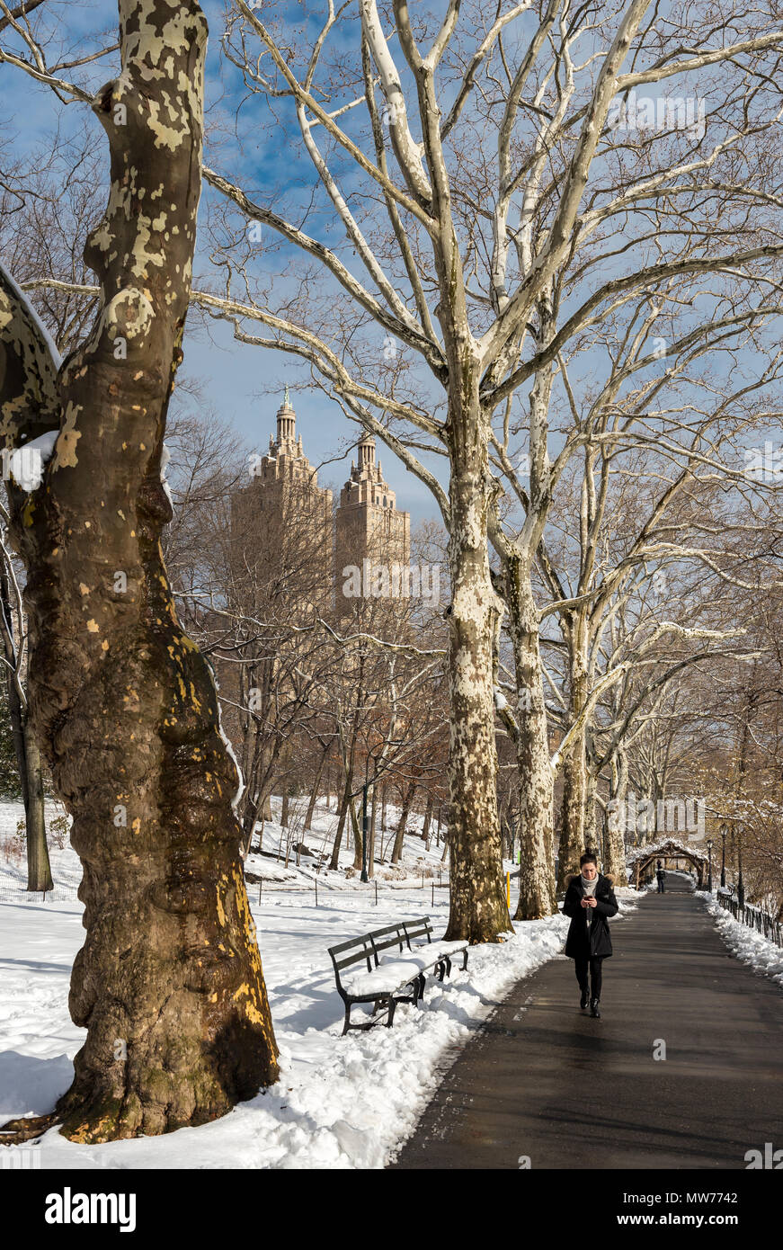 Frau geht bei Schnee im Winter im Central Park, New York City, USA Stockfoto