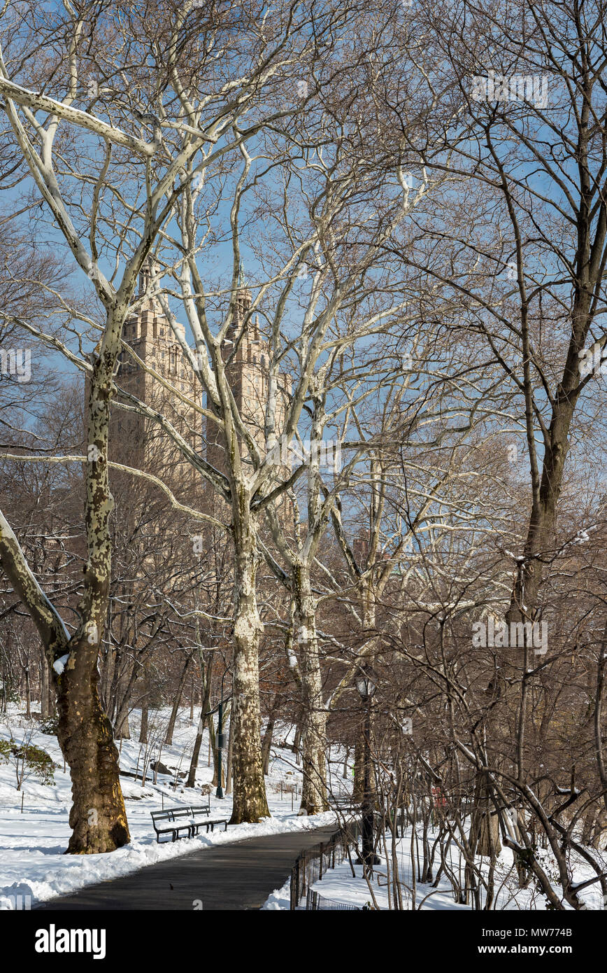 Central Park im Winter, New York City, USA Stockfoto