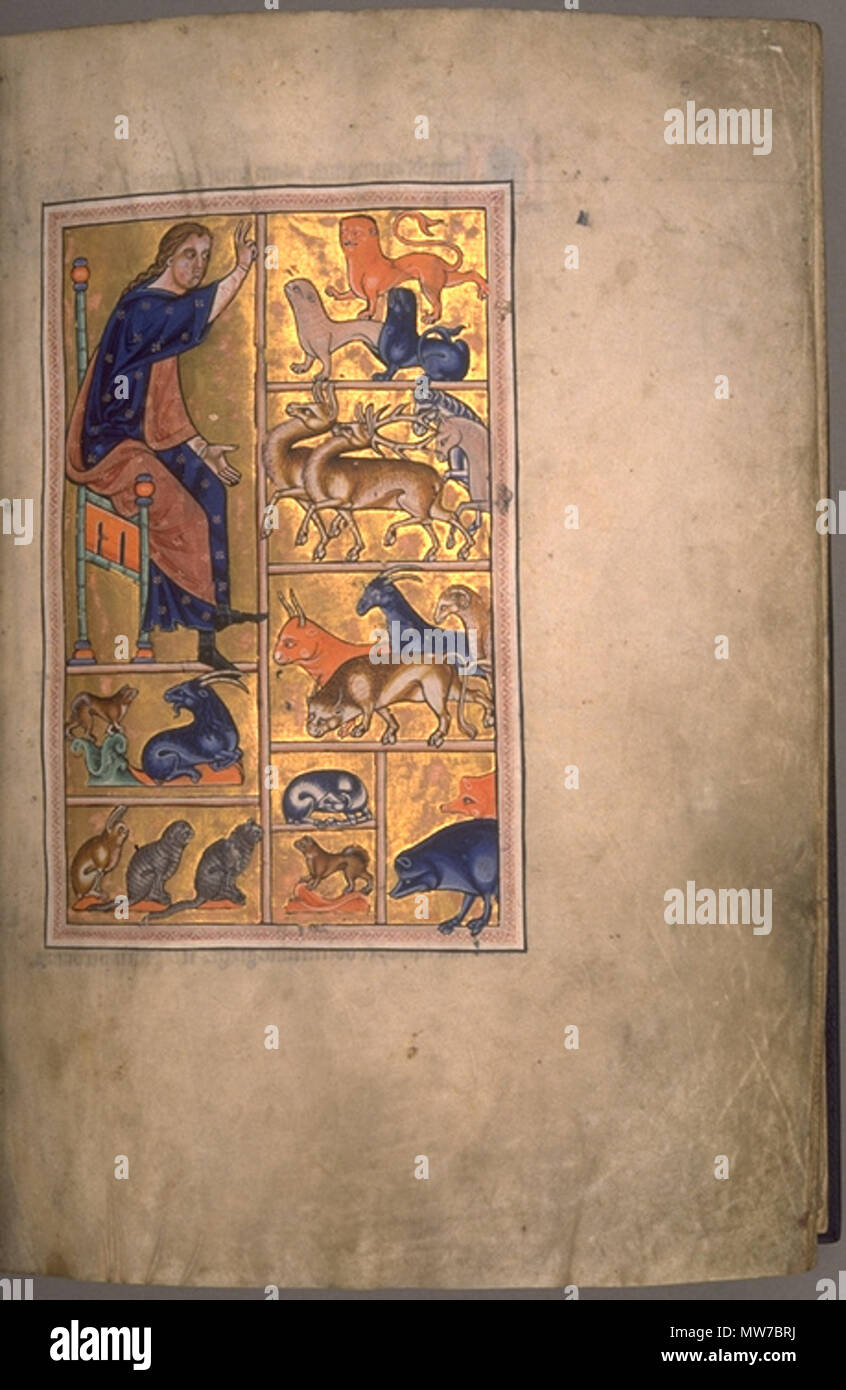 . Adam der Benennung der Tiere. Folio 5 recto vom Aberdeen Bestiary. 12. Jahrhundert 24 AberdeenBestiaryFolio 005 rAdamNamesAnimals Stockfoto