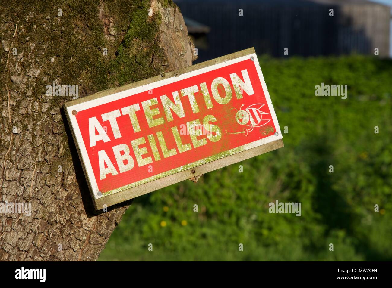 Beschriftungen: Eine französische Gebärdensprache erklärt 'Vorsichtig - Bienen' Stockfoto