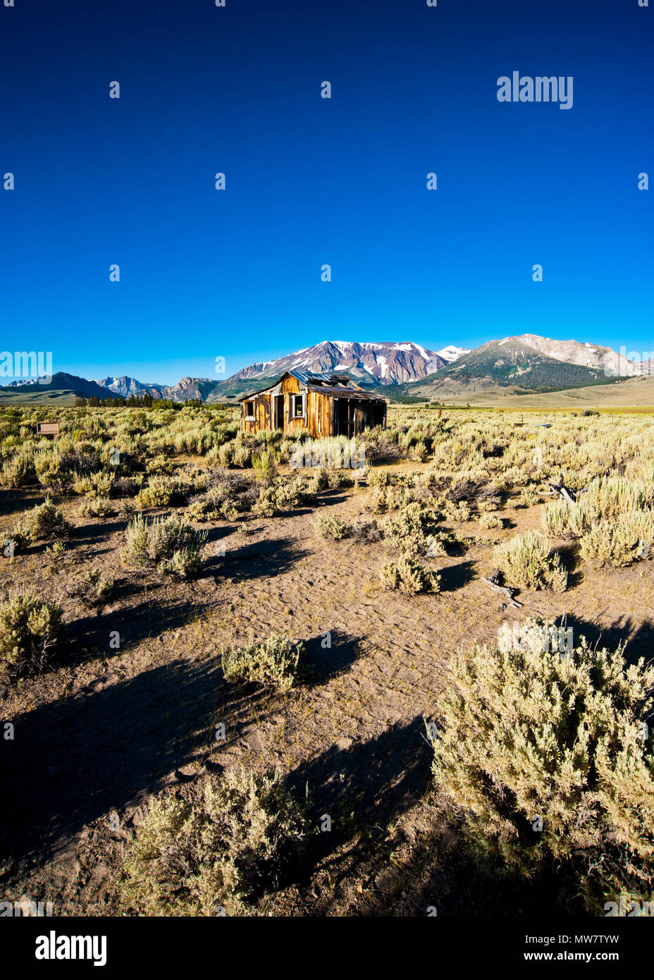 Weitwinkelbild von verlassenen Haus auf der High sierra Wüste Wildnis, hohe sierra schneebedeckten Berge im Hintergrund, klaren blauen Himmel, Stockfoto