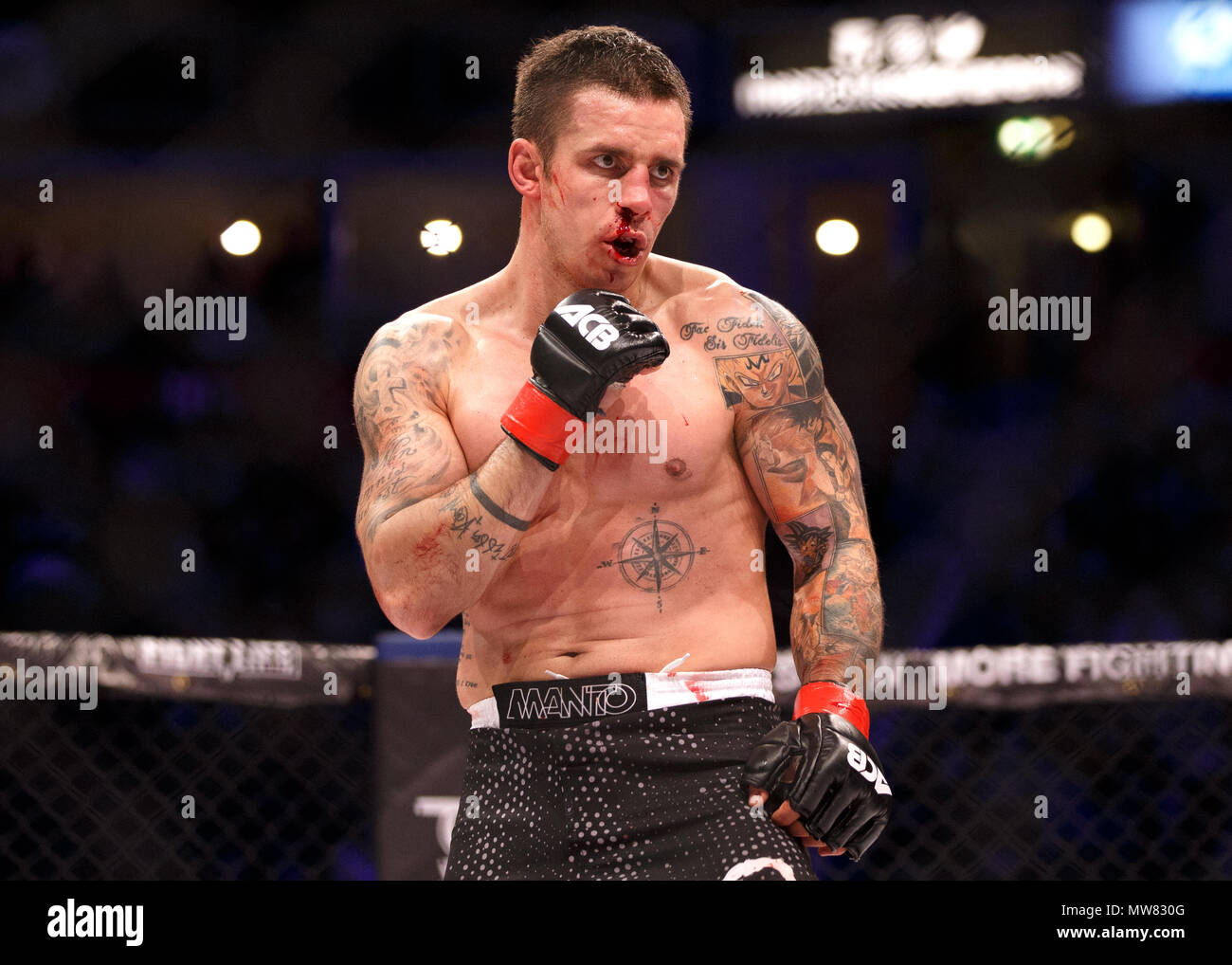 Adam Zając, Polnische Mixed Martial Artist (MMA-Kämpfer), in der Tätigkeit an ACB 54 in Manchester, UK. Zając hat einen blutigen Gesicht, die letztlich seinen Verlust durch den Arzt Arbeitsniederlegung im Kampf führen würde. Absolute Meisterschaft Berkut, Mixed Martial Arts, MMA kämpfen. Stockfoto