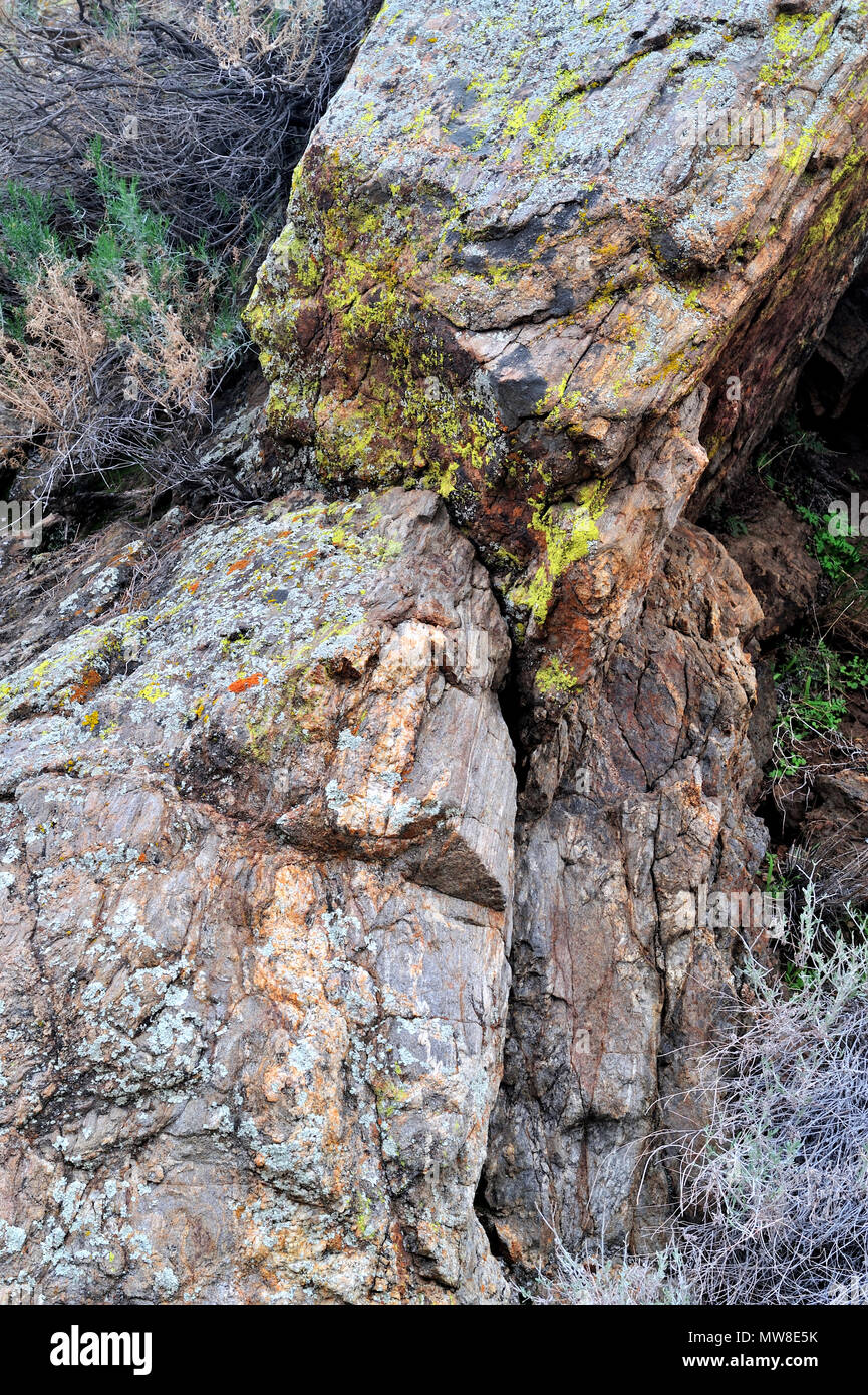 Monzogranite rock mit Aplitic Vene und rote und gelbe Flechten, Kühlen Canyon, Anza-Borrego Desert State Park, CA 090215 33916 Stockfoto