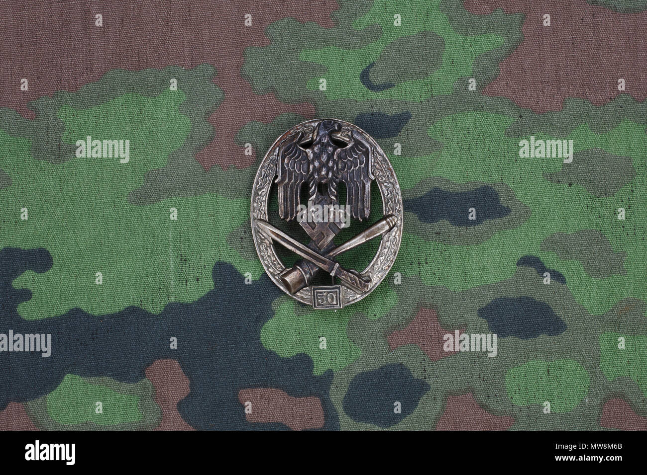 Allgemeine Assault Badge - deutsche NS-Award auf der SS Camouflage einheitliche Stockfoto