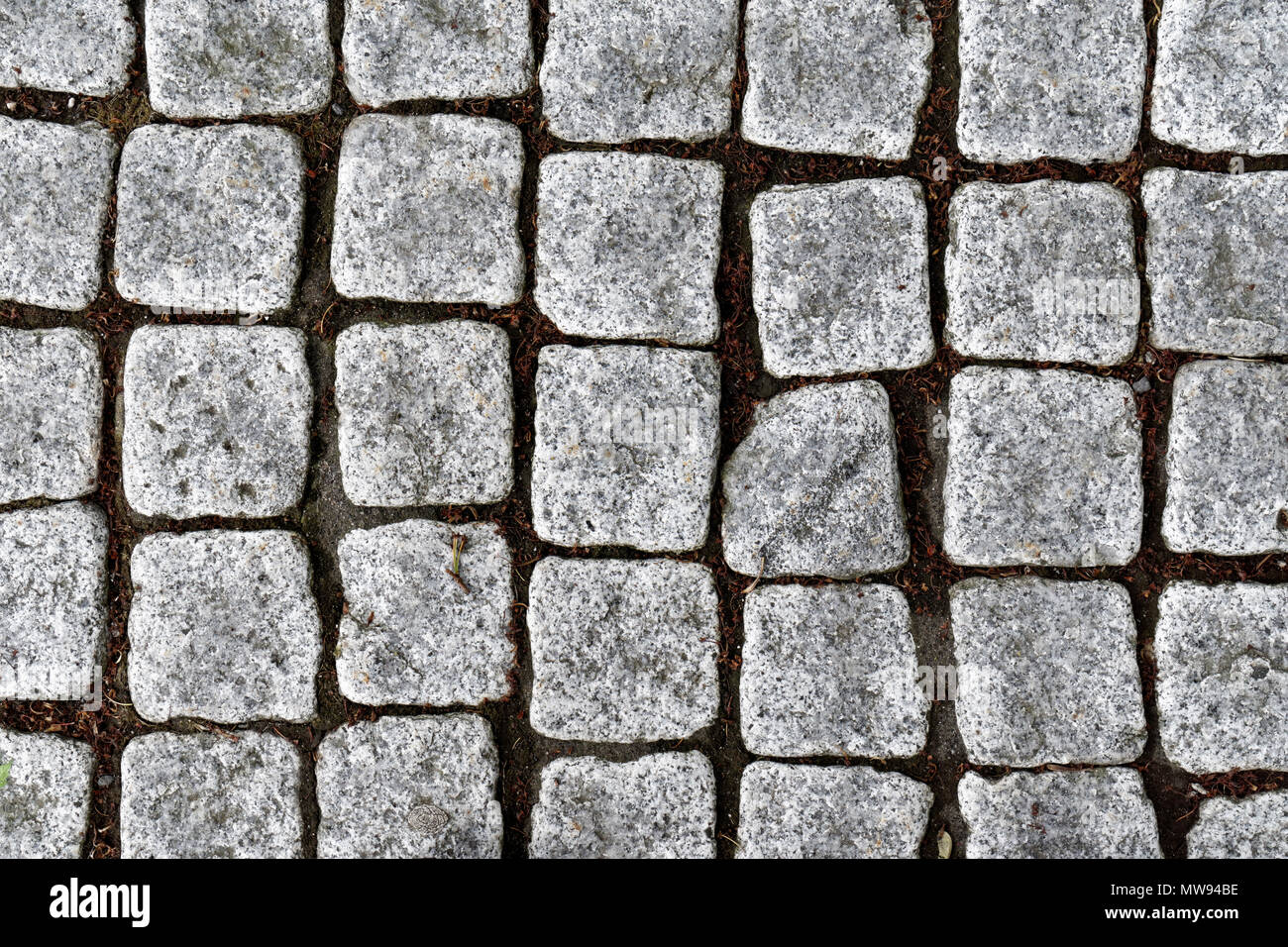 Close-up ein Weg gepflastert mit quadratischen Granit Pflastersteine Stockfoto