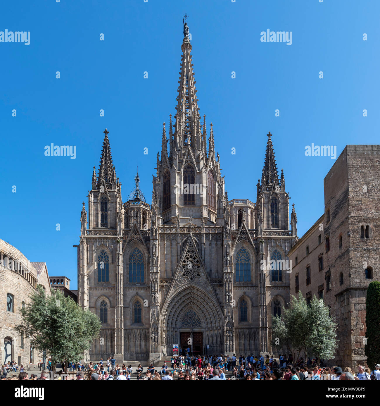 Die Kathedrale von Barcelona. Die Kathedrale der Hl. Kreuz und St. Eulalia von der Plaça de La Seu, Barri Gotic, Barcelona, Spanien Stockfoto