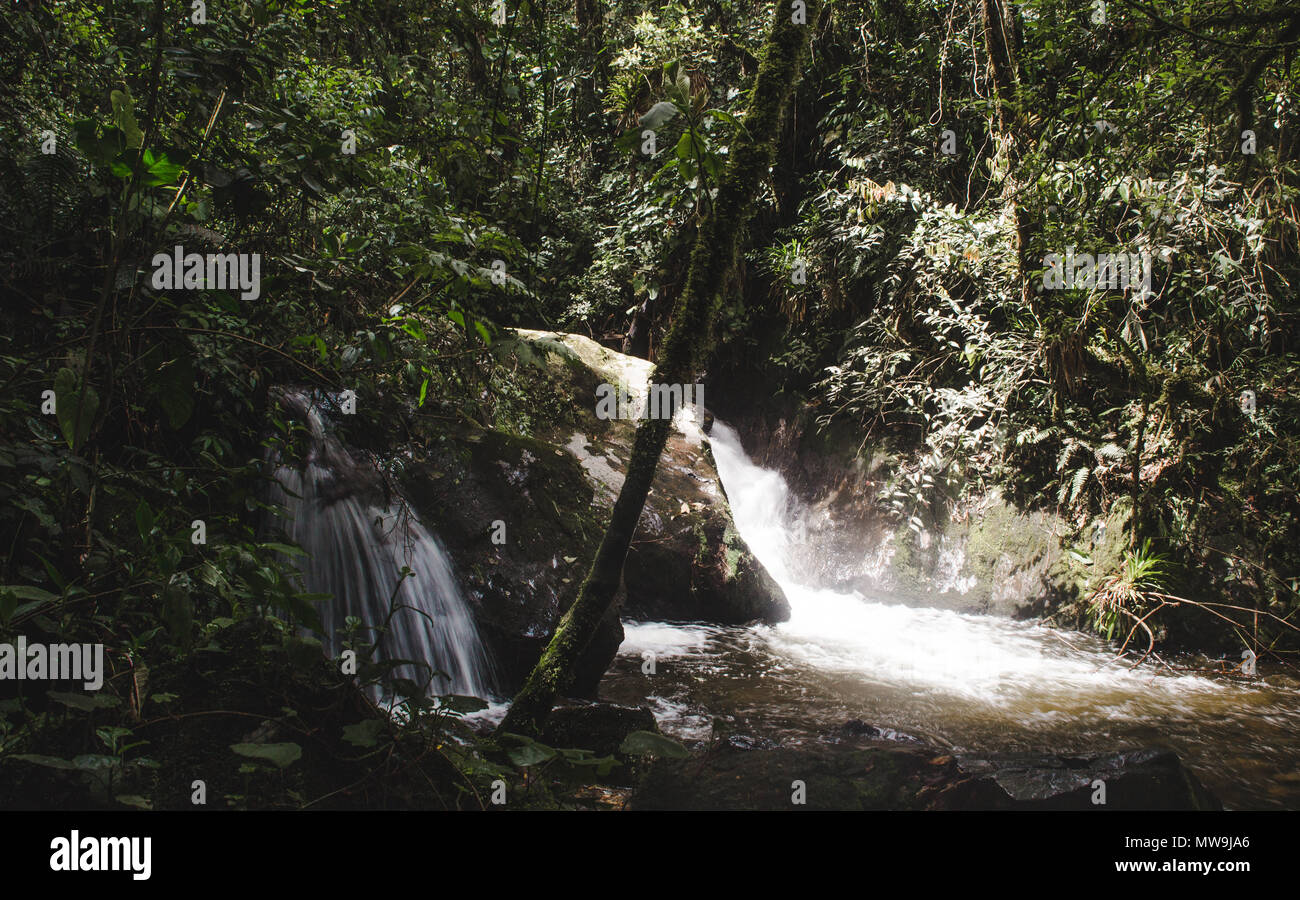 Doppelzimmer Wasserfall, die sich aus dem dichten Dschungel Bush in einem natürlichen Pool in Kolumbien Stockfoto