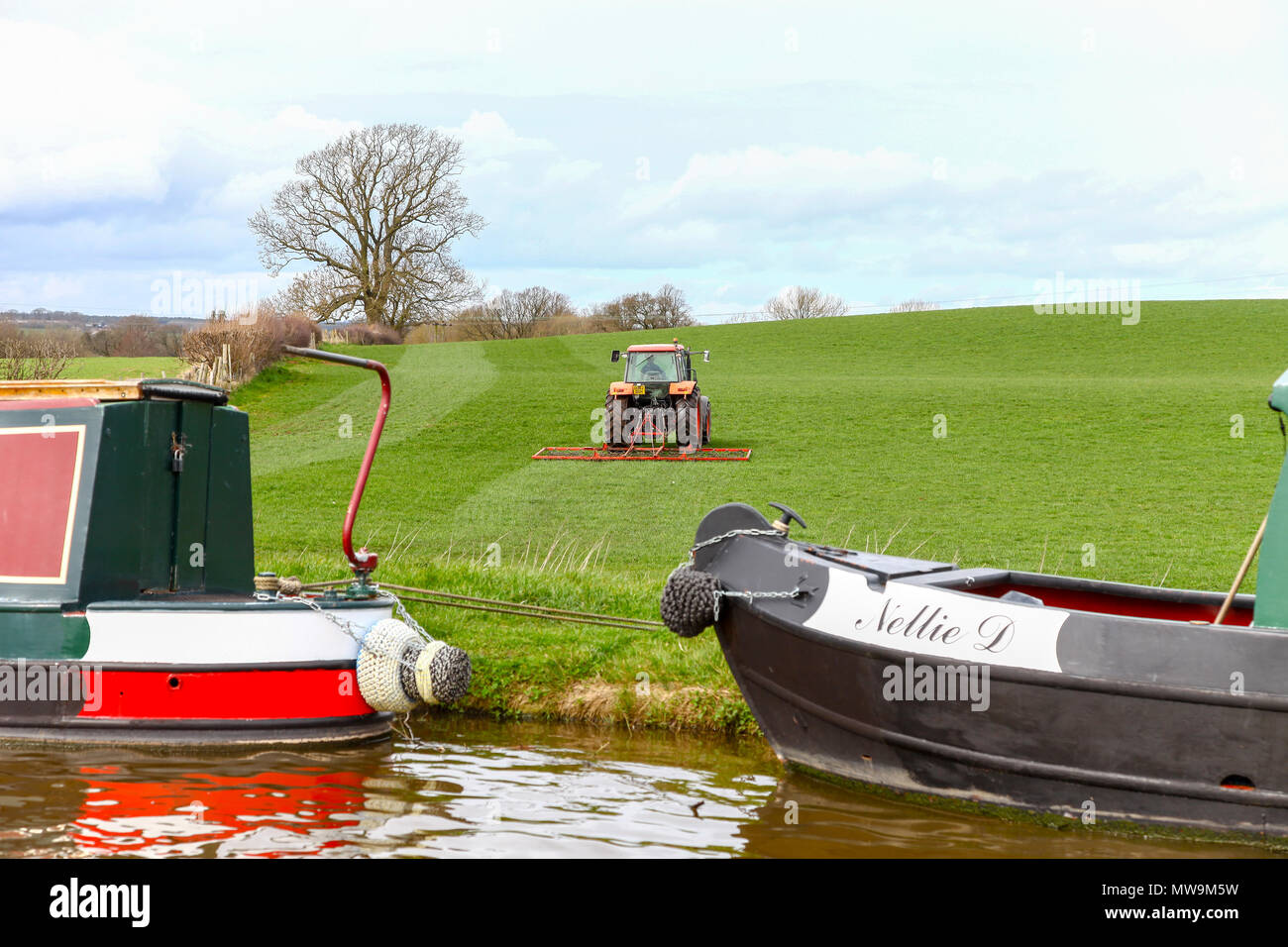 Ein Landwirt auf seinem Traktor Kette Eggen ein Feld im Frühjahr neben der Shropshire Union Canal Shebdon, Staffordshire, England, UK Stockfoto