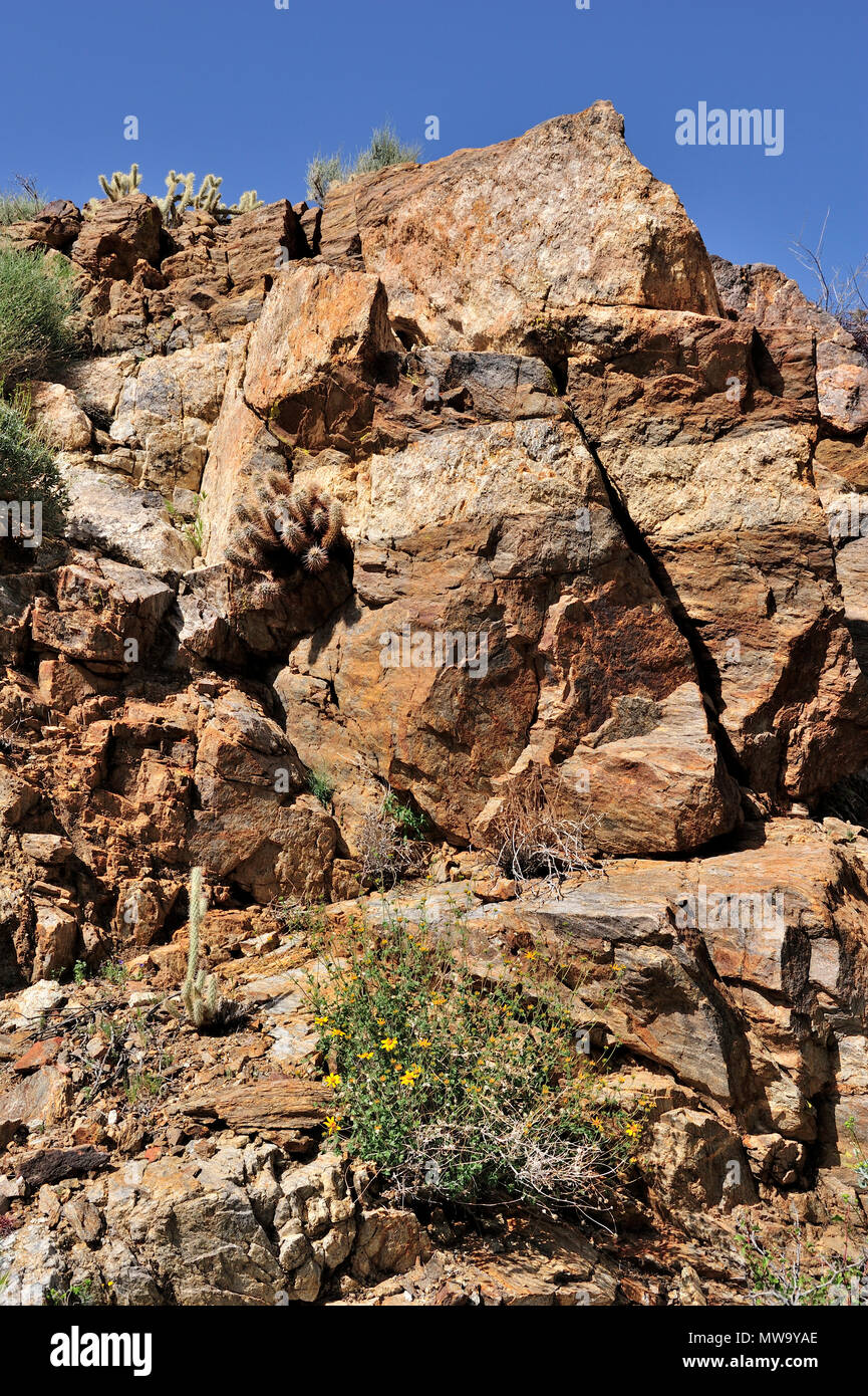 Monzogranite rock mit Aplitic Vene, coole Canyon, Anza-Borrego State Park, CA 100327 35205 Stockfoto