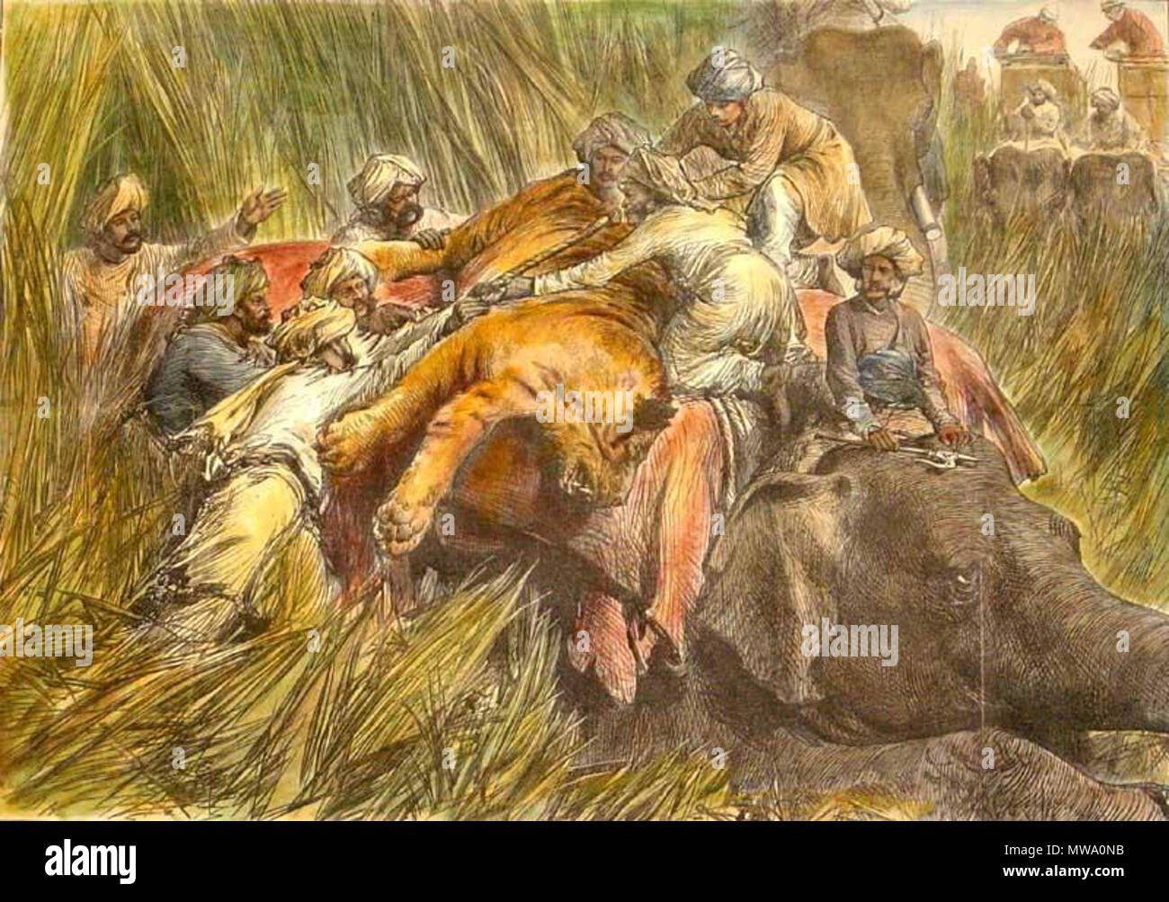 . Englisch: Blick von der Illustrated London News und die Grafik (einige mit später hand Färbung, alle von ebay Auktionen): "Ein Tiger Hunting Party'*, 1876. Zwischen 1846 und 1899. Blick von der Illustrated London News und die Grafik (einige mit später hand Färbung, die alle von ebay Auktionen): 607 Tigerpadding 1876 Stockfoto