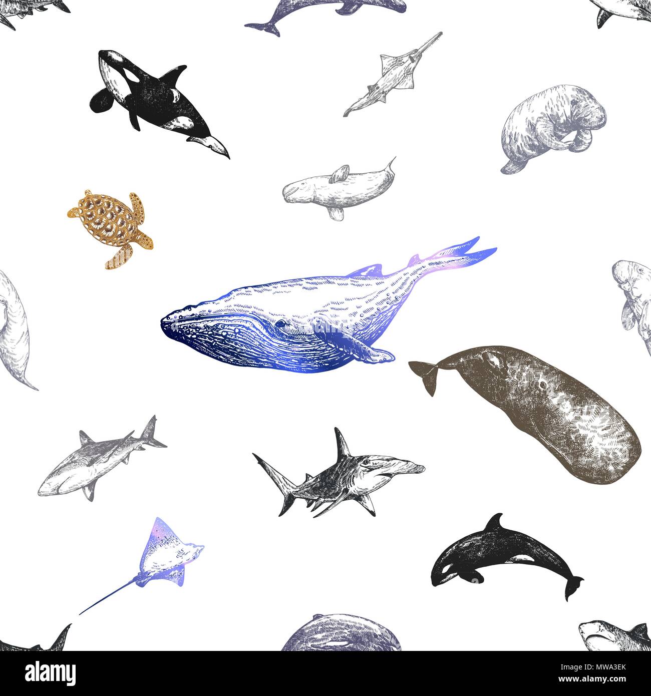 Nahtlose Muster von Hand gezeichnete Skizze stil Meerestiere auf weißem Hintergrund. Vector Illustration. Stock Vektor